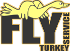  / Fly Service